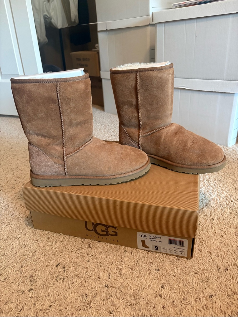 UGG W Classic Short Boots - Chestnut Brown